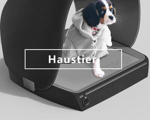 Haustier