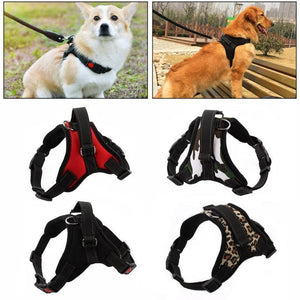 No-Pull Hundegeschirr, einstellbares Brustgeschirr für mittlere und große Hunde